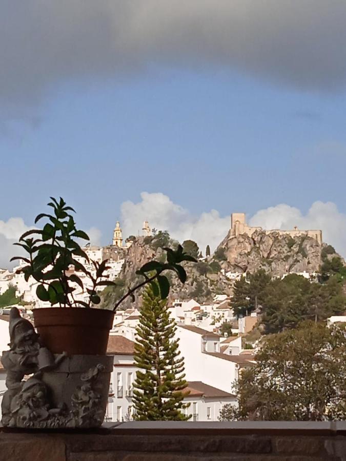 Los Girasoles Olvera Dış mekan fotoğraf
