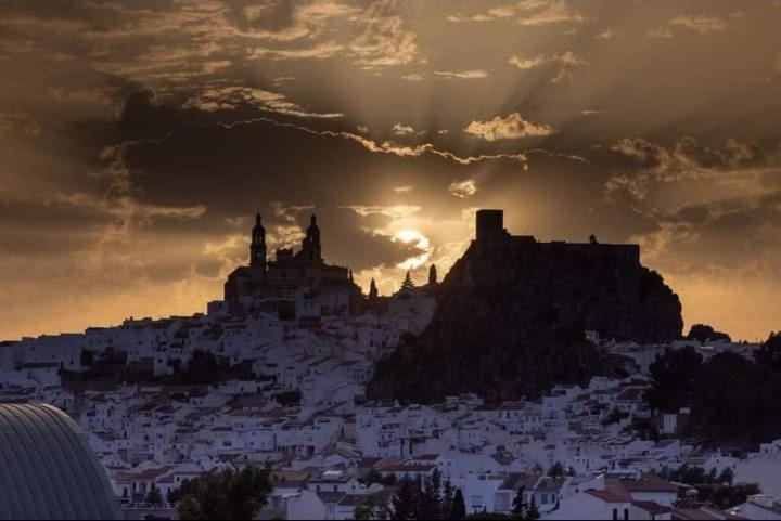 Los Girasoles Olvera Dış mekan fotoğraf